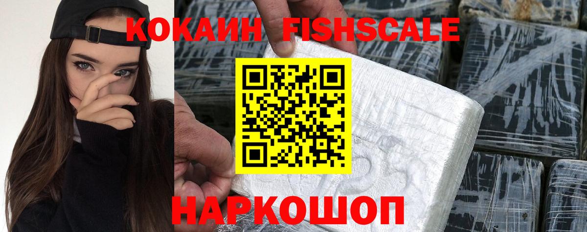 МЕФ Камышлов