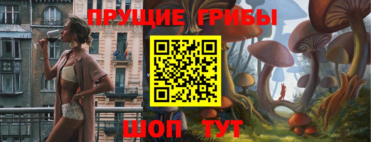 Галлюциногенные грибы прущие грибы  Вход с VPN  Камышлов  наркотики  Псилоцибиновые грибы Cubensis 