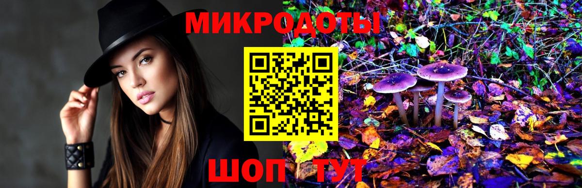 Псилоцибиновые грибы Psilocybe Камышлов