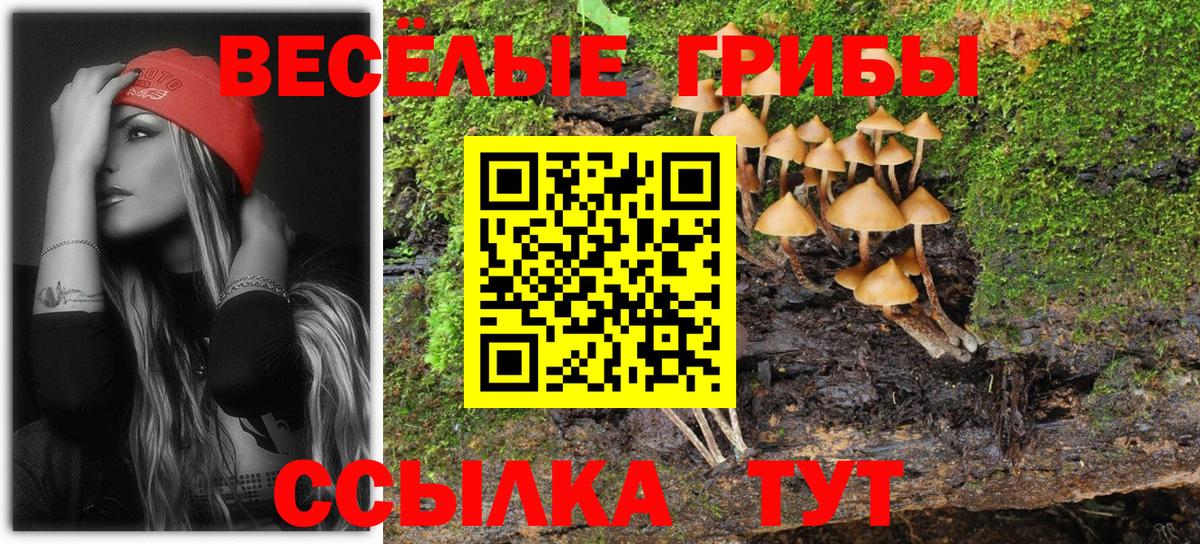 Экстази  Бошки Шишки  ГАШ  Codein  МЕФ кристаллы  Камышлов  Наркошоп  КОКАИН  Вход с VPN 